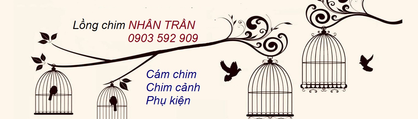 long_cam_phu_kien