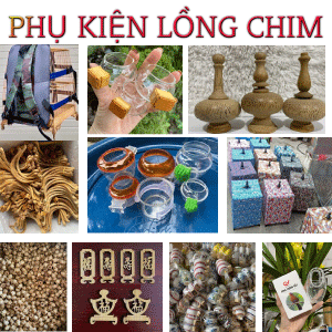 phu-kien-chim